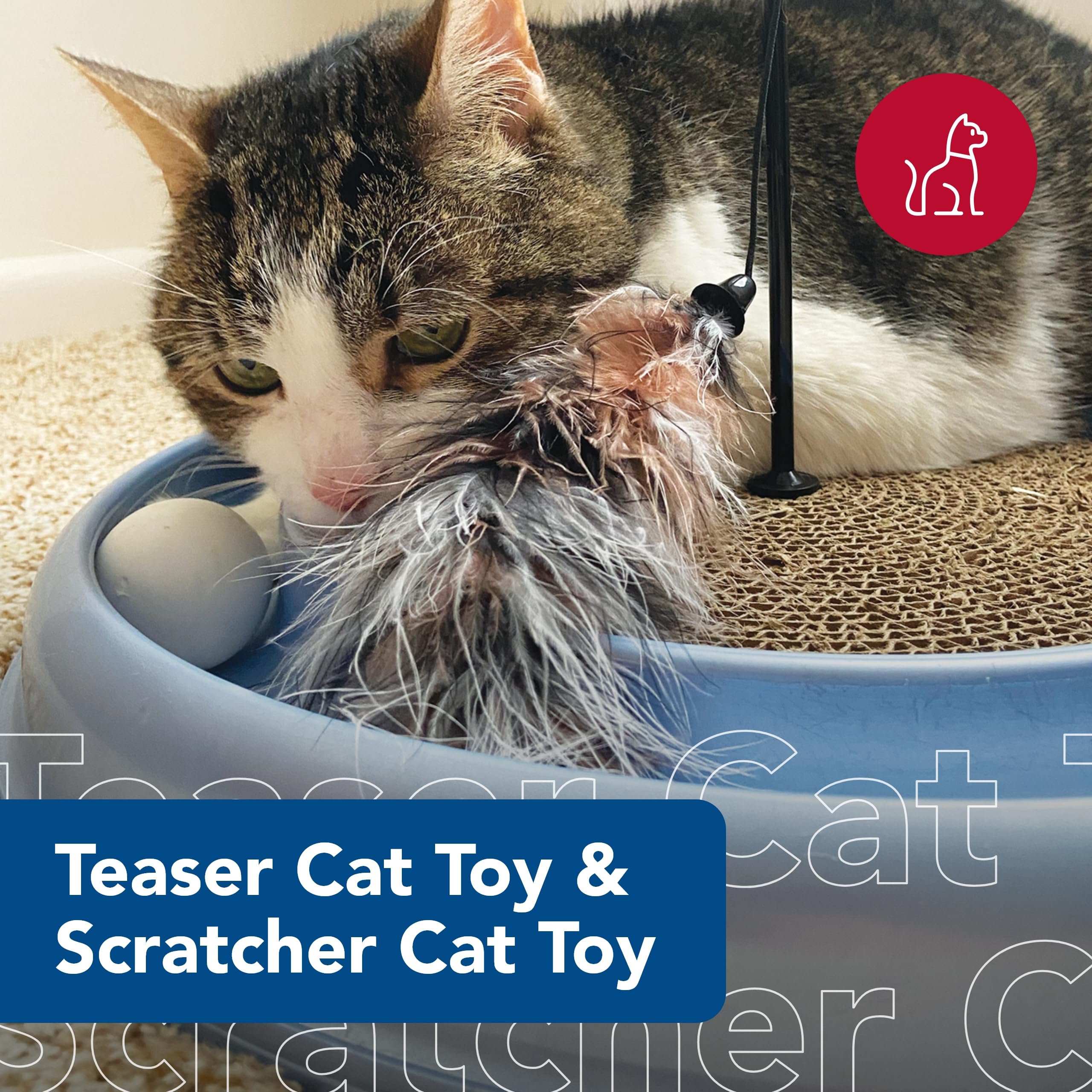 Coastal Pet - Turbo Pet Cat Bundle - Teaser Cat Toy & Scratcher Cat Toy