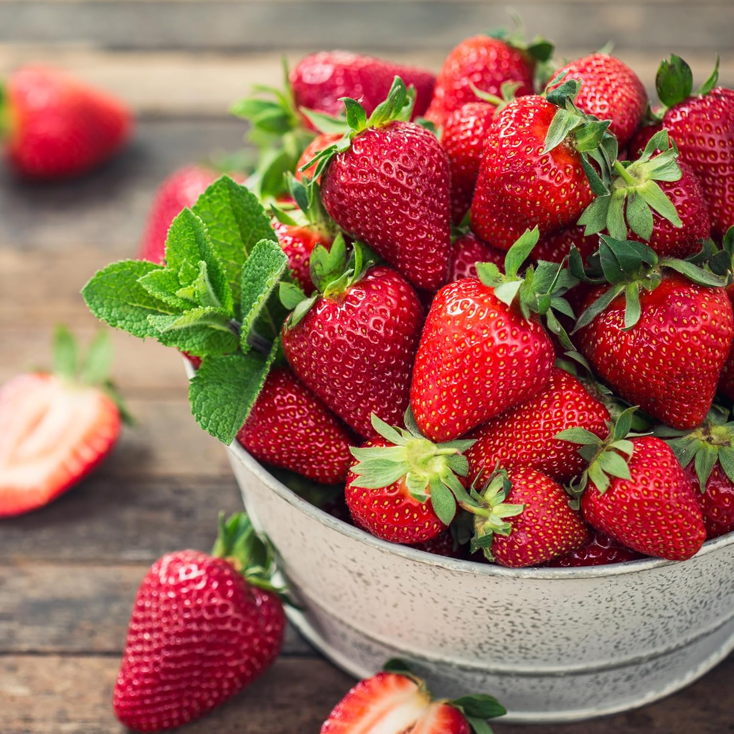 Garden State Bulb Tristar Everbearing Strawberry Bare Root Crowns, Non-GMO, Spring Planting (Bag of 40)