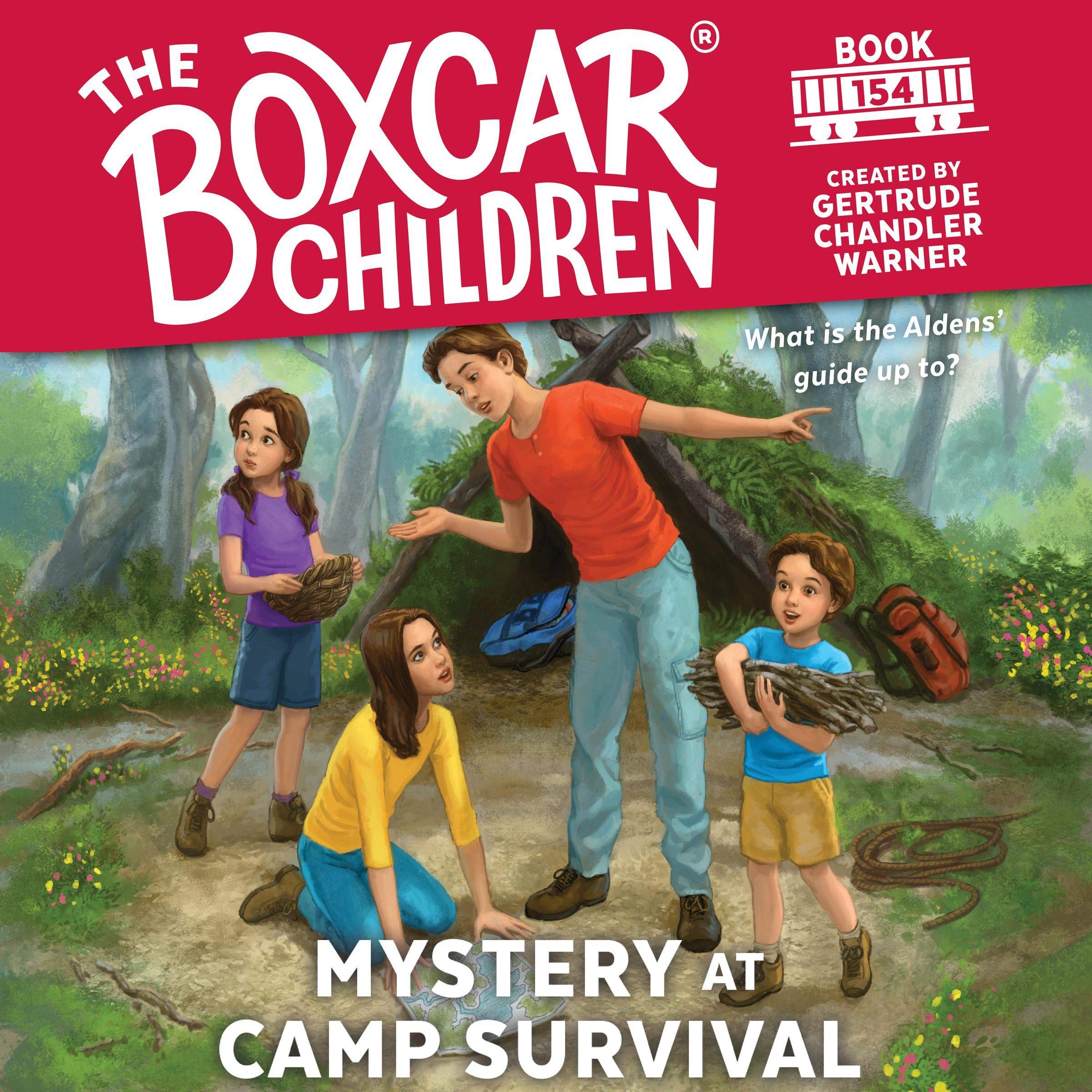 Cover art for Mystery at Camp Survival