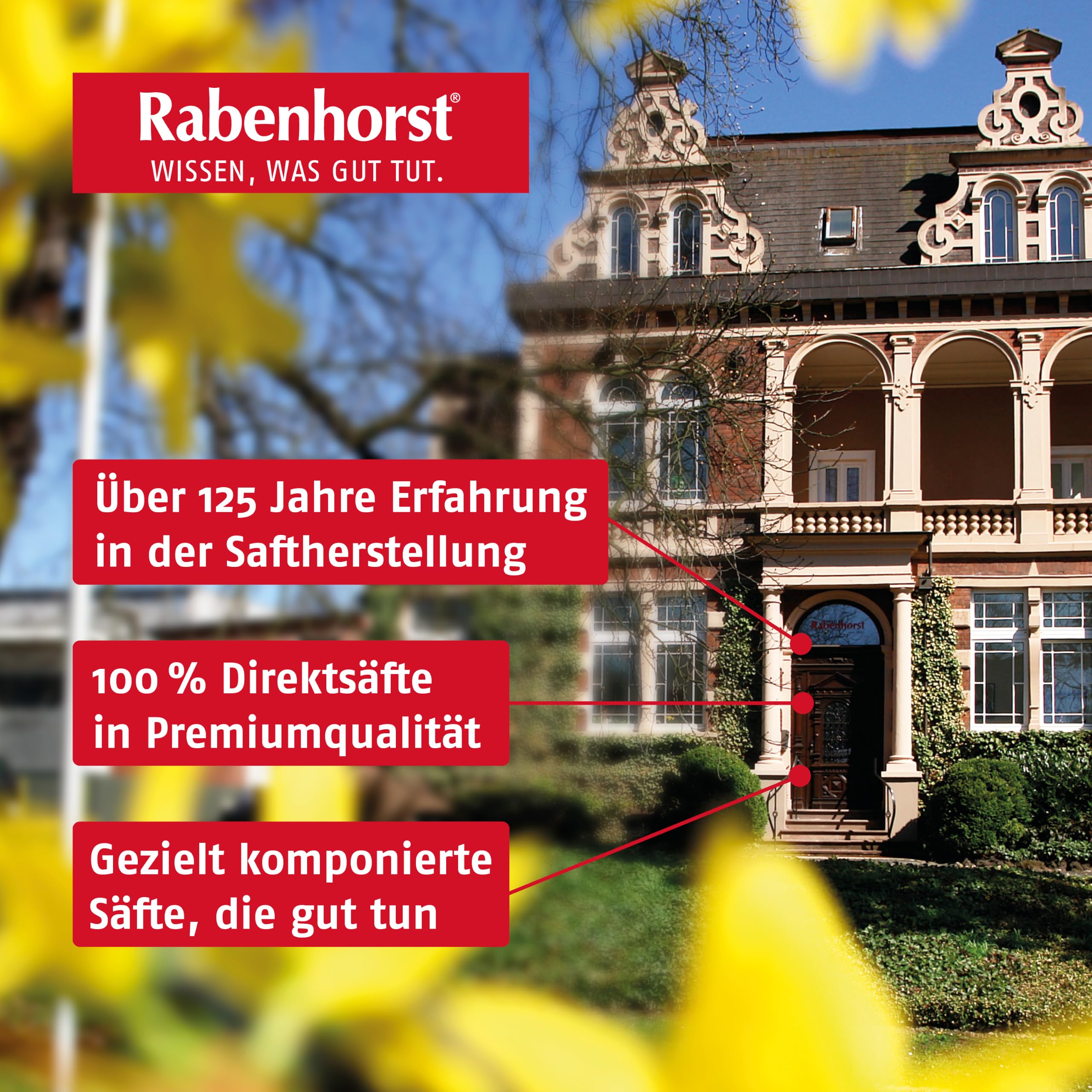 RABENHORST Cranberry Muttersaft Mini (24 x 125 ml) | 100% purer Direktsaft aus erster Pressung aus sorgfältig ausgewählten, original nordamerikanischen Cranberrys bester Qualität