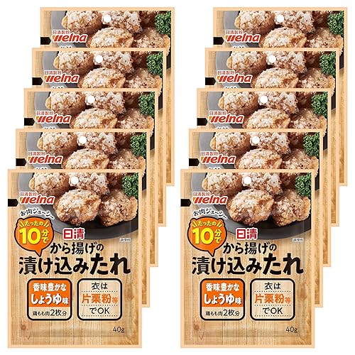 日清製粉ウェルナ から揚げの漬け込みたれ しょうゆ味 40g ×10個