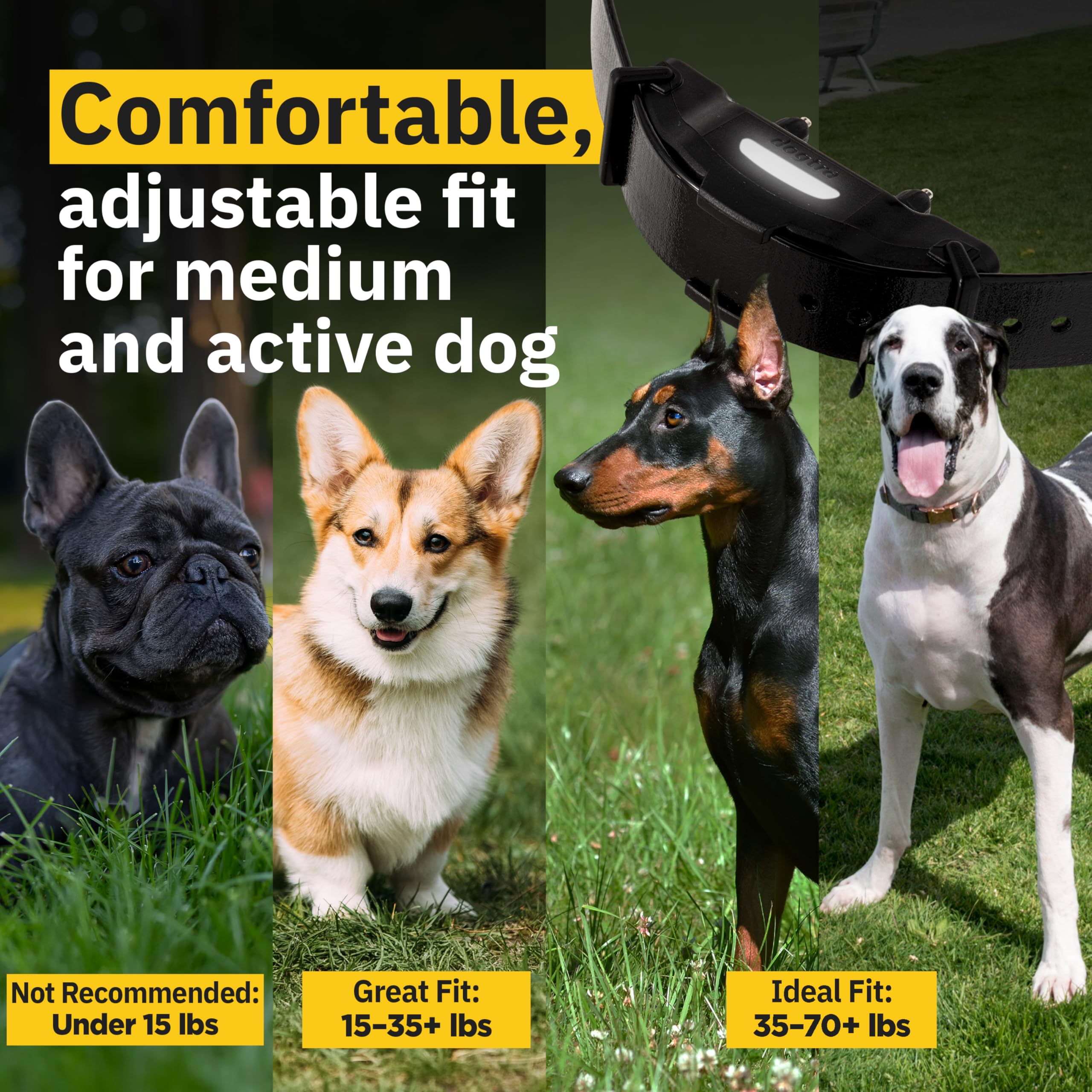 Dogtra ARC-X E-Collar para entrenamiento de perros, rango de 3/4 millas, para perros de 15 libras +, diseño delgado, IPX9K impermeable, 100 niveles de estimulación, vibración, tono, recargable, dueños