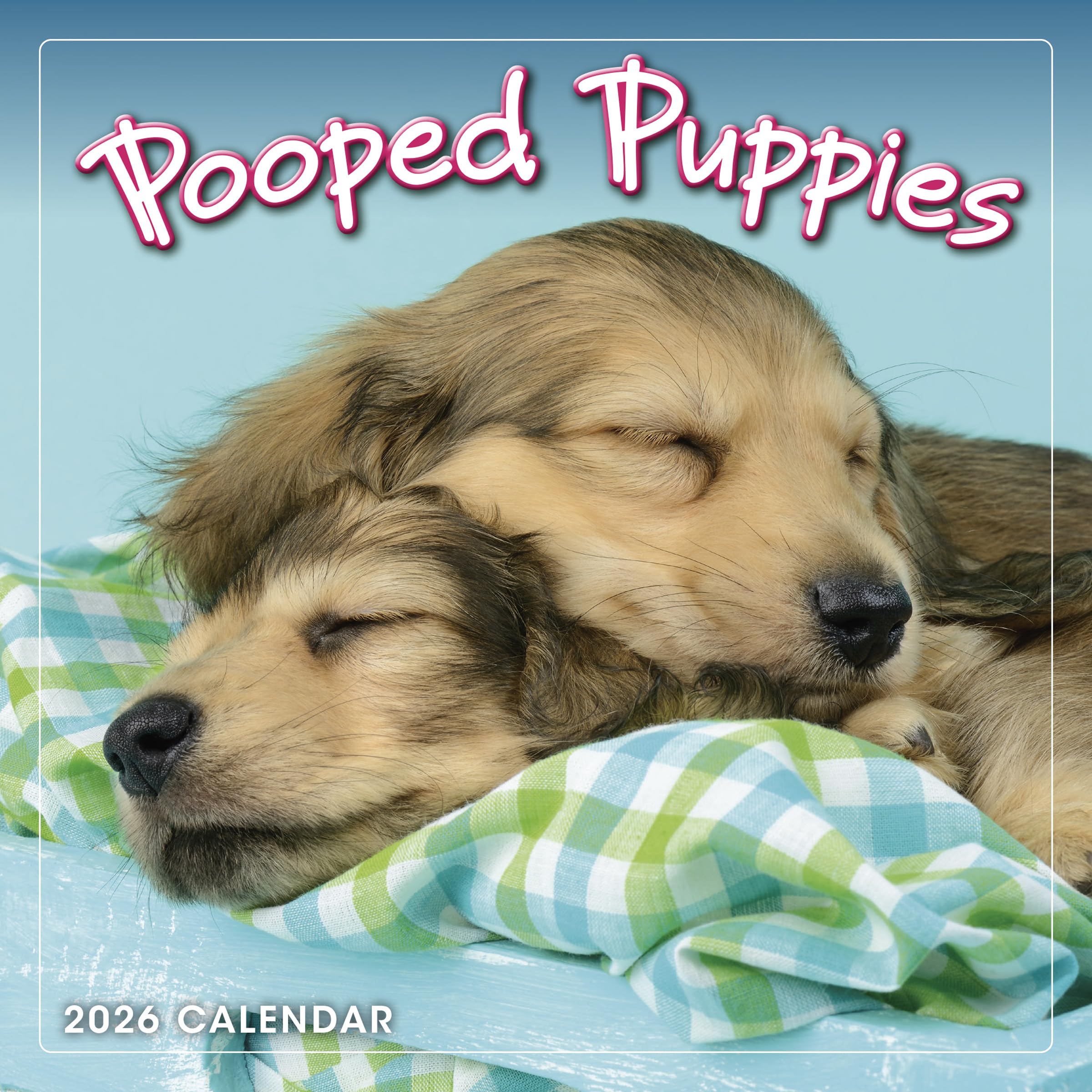2026 Pooped Puppies Mini Calendar