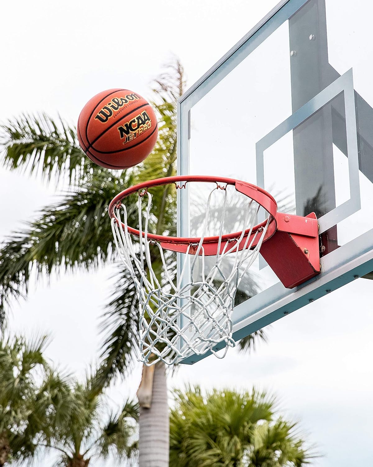 Wilson NCAA Jet Pro Basketball, Official - 29.5" , Brown : Sports & Outdoors