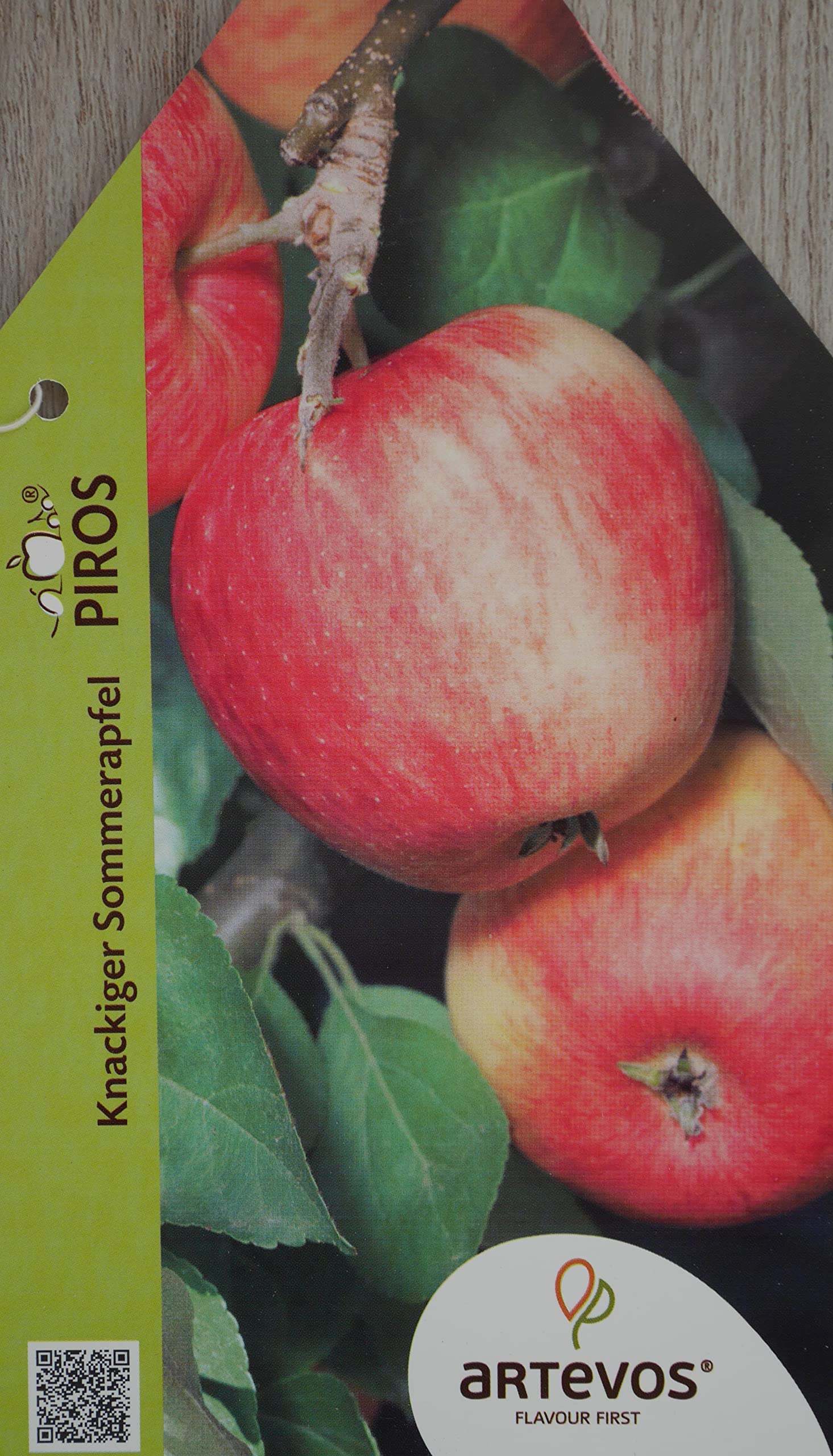 Müllers Apfel 'Piros' ca. 150 cm im 10 Liter Topf