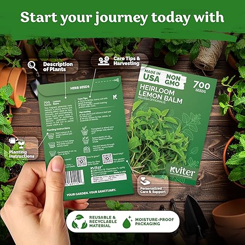 Miniatura 2 de KVITER 700 semillas de bálsamo de limón para plantar (Melissa Officinalis) - Semillas de hierbas medicinales orgánicas y tradicionales - Cultivar en