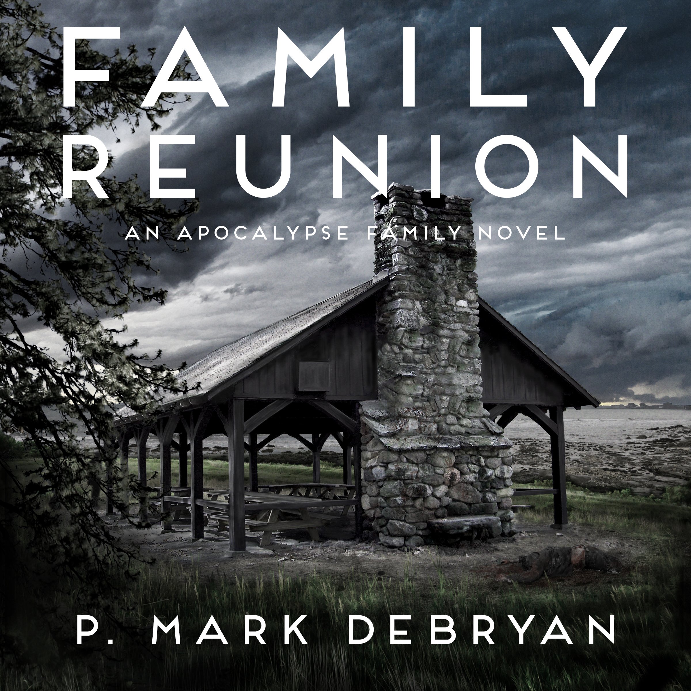 Cover art for Family Reunion: When the Apocalypse Happens Only One Thing Matters...Family