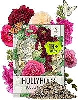 Vista 6 de Seed Needs 1000+ semillas de flor de caléndula para plantar variedad Pink Surprise Caléndula officinális anual no transgénica Flores