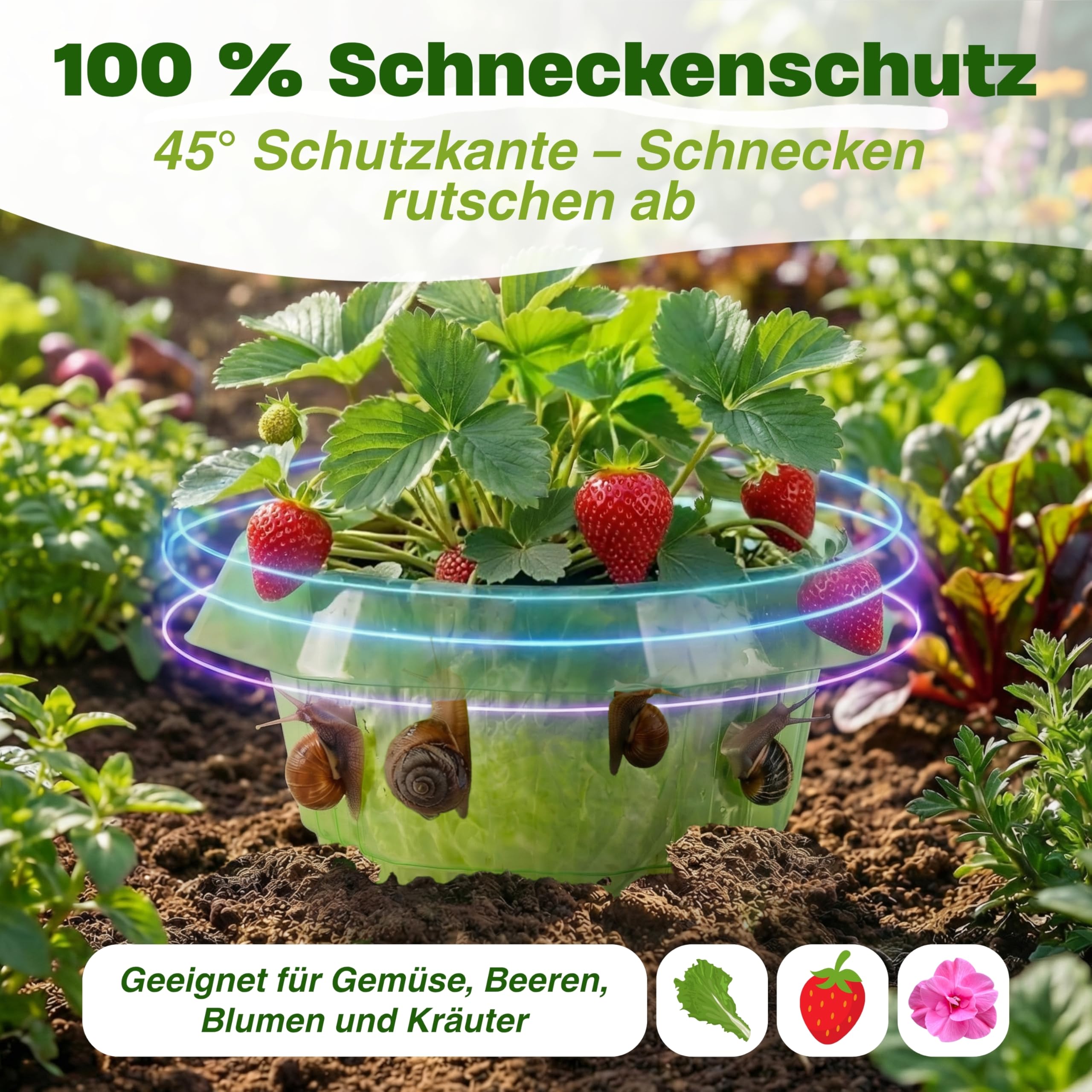 insi Schneckenkragen 12er Set – Stabiler Schneckenkorn für Salat & Kohl – Wiederverwendbarer Schneckenschutz ohne Chemie – Effektive Schneckenabwehr für Pflanzen