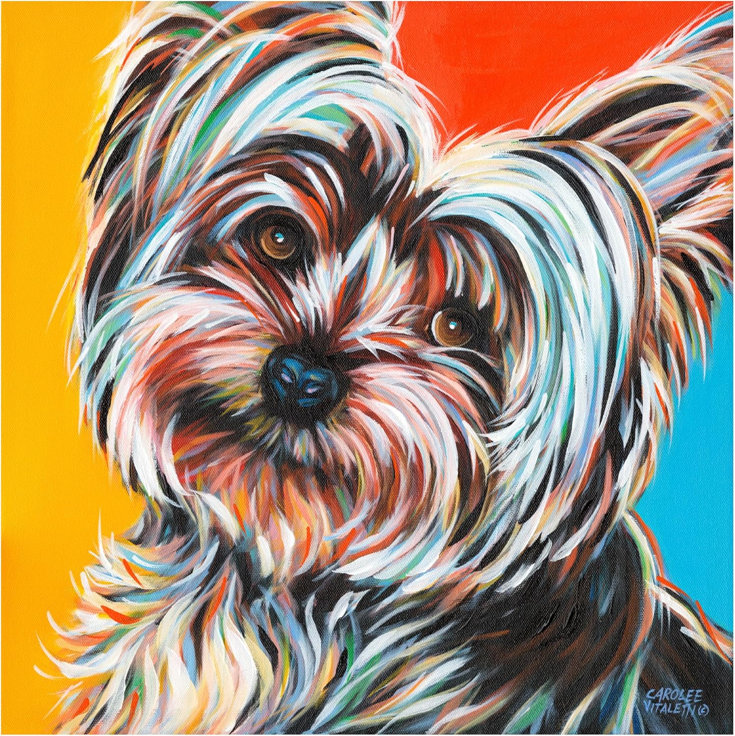 Wrapped Canvas Wall Art - Carolee Vitaletti 'Sweet Yorkie Ii' Wall Art for Living Room, Bedroom, or Office Décor - 24x24