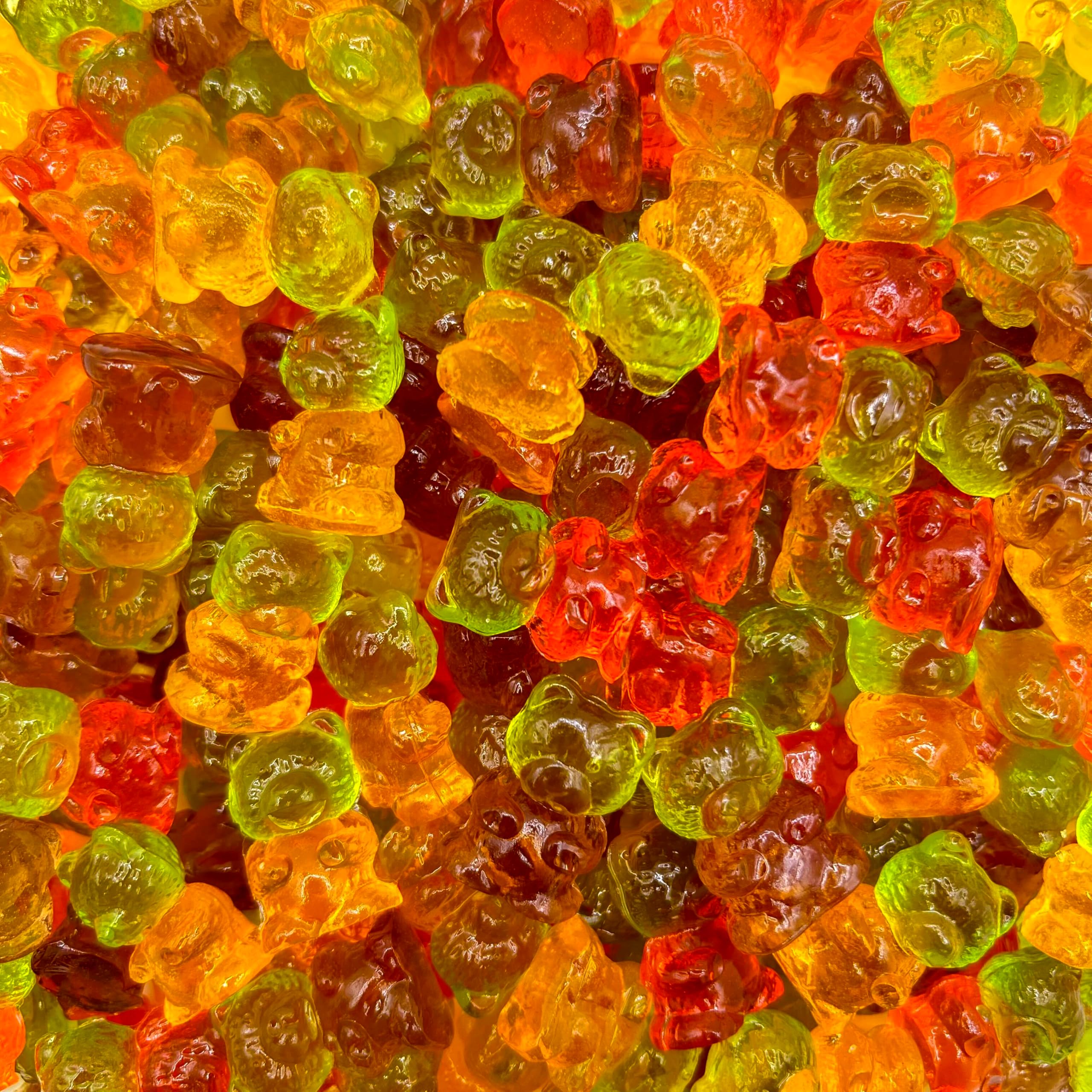 Sugar-Free Gummi Bears | 1 Pound Bag | 3D Candy in Assorted Fruit Flavors