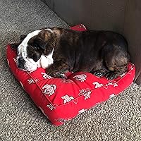 Vista 5 de College Covers Nebraska Cornhuskers - Almohada de suelo, 24 x 24 pulgadas, multicolor