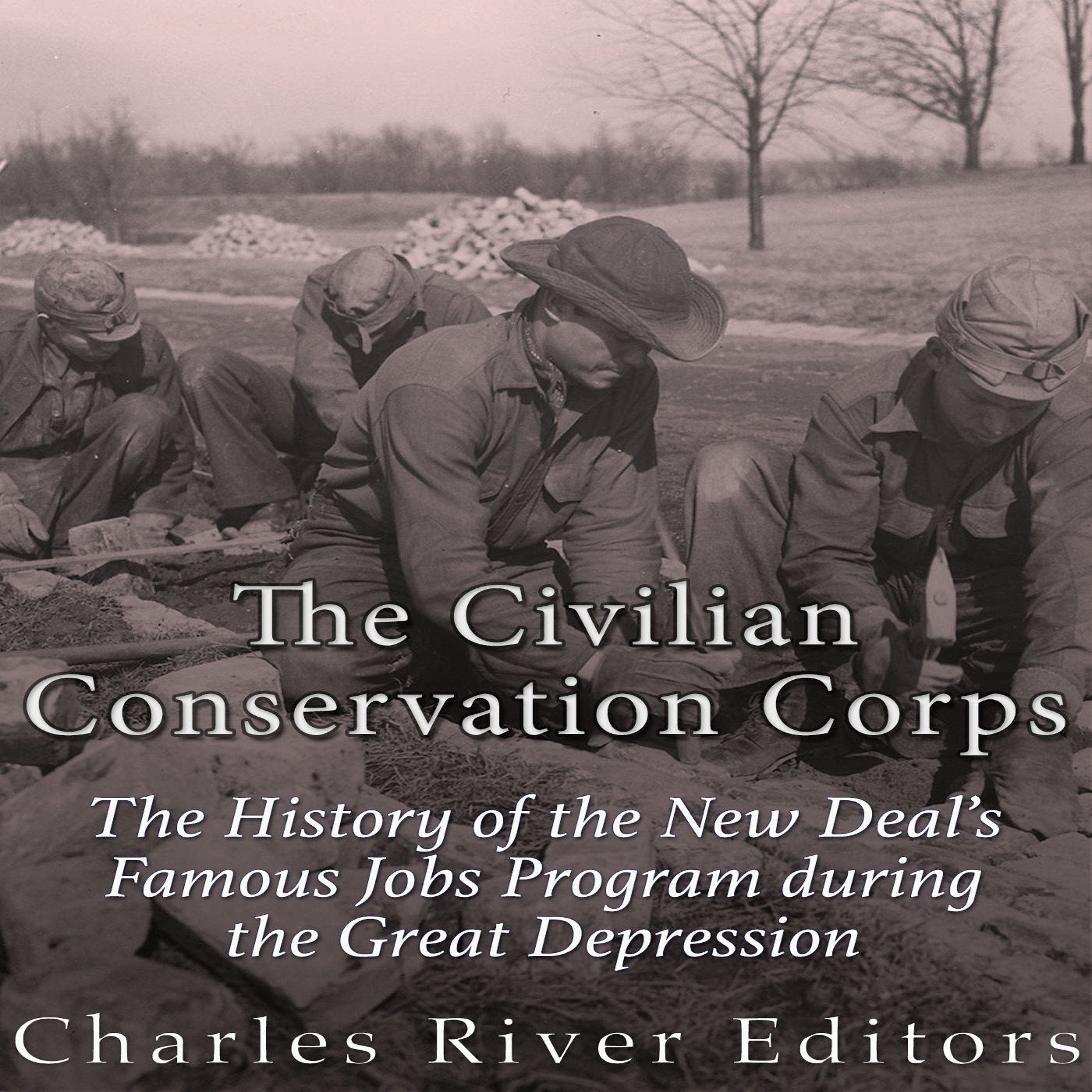 Cover art for The Civilian Conservation Corps