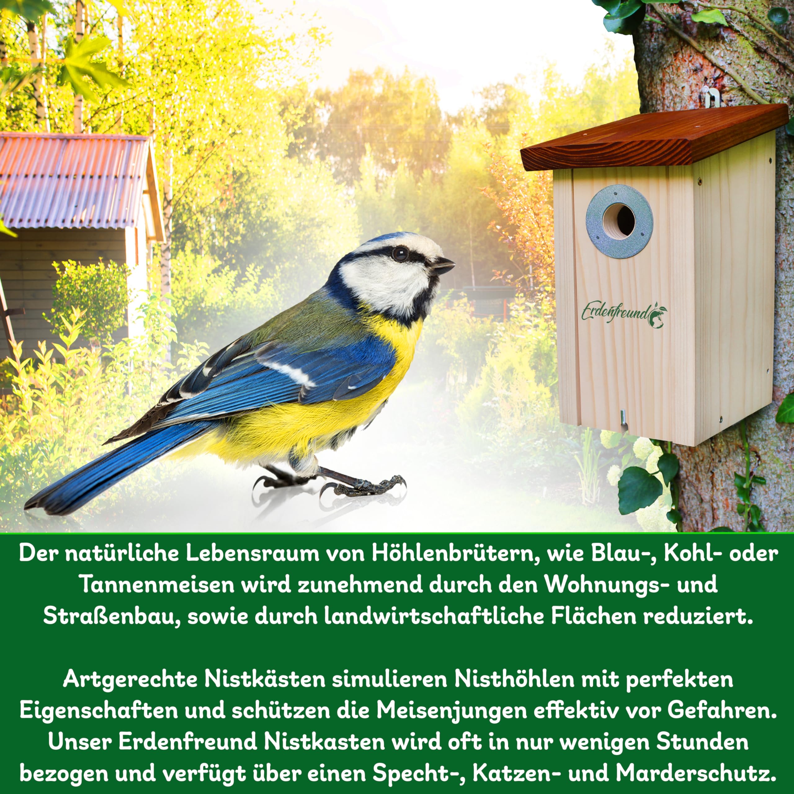 ERDENFREUND® Meisen Nistkasten 28mm Katzen-/Marderschutz innen Nistkasten für Vögel mit pickfestem Spechtschutz aus rostfreiem Metall