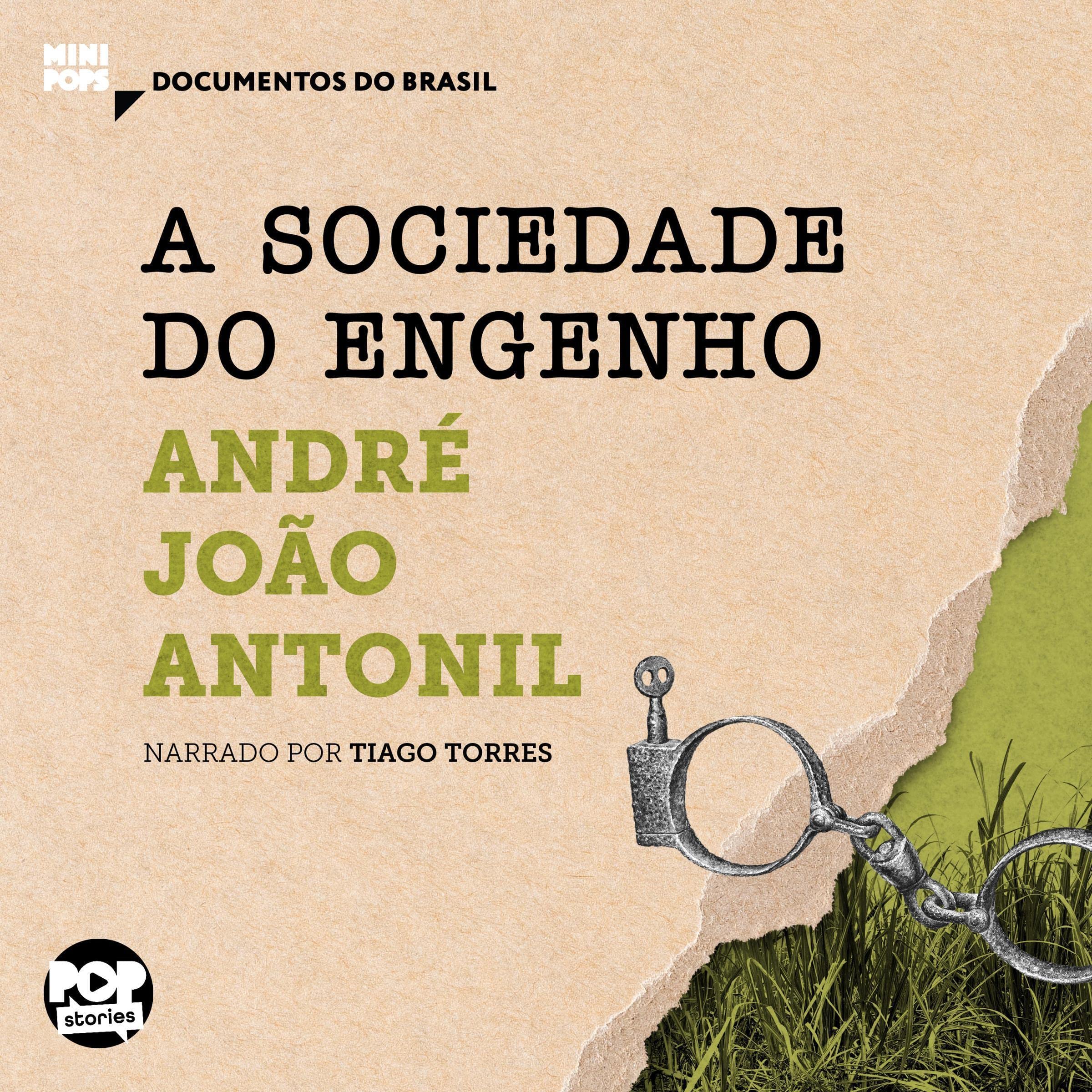 A Sociedade do Engenho