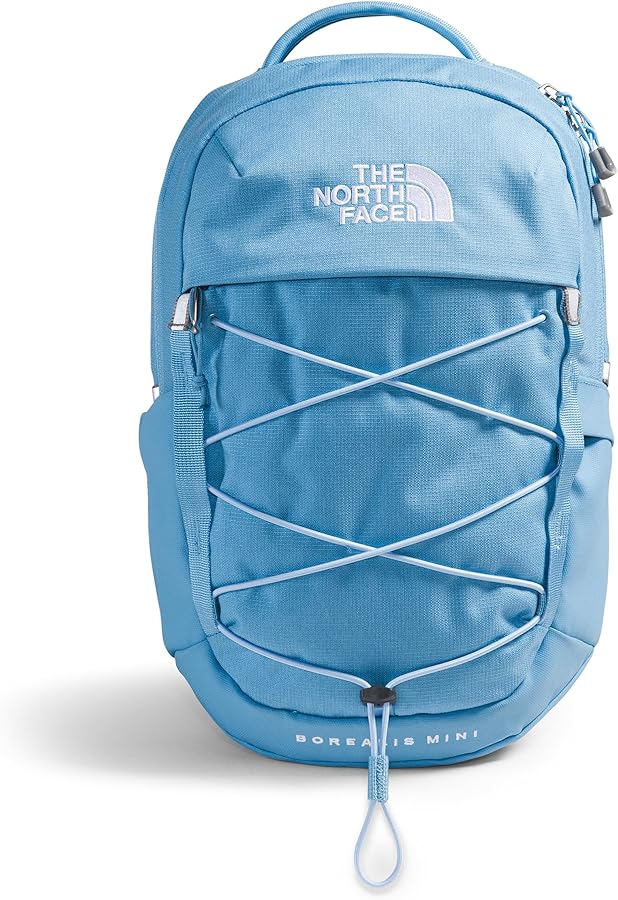 Amazon.com | The North Face 10L Mini Borealis Every Day Backpack