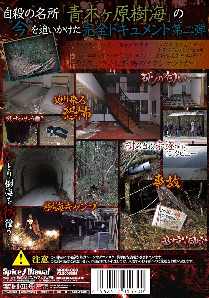 世界の絶景DVD10枚➕解説ガイド Amazon.co.jp: 一度は観たい 珠玉の名作映画 愛の終焉 DVD10枚組