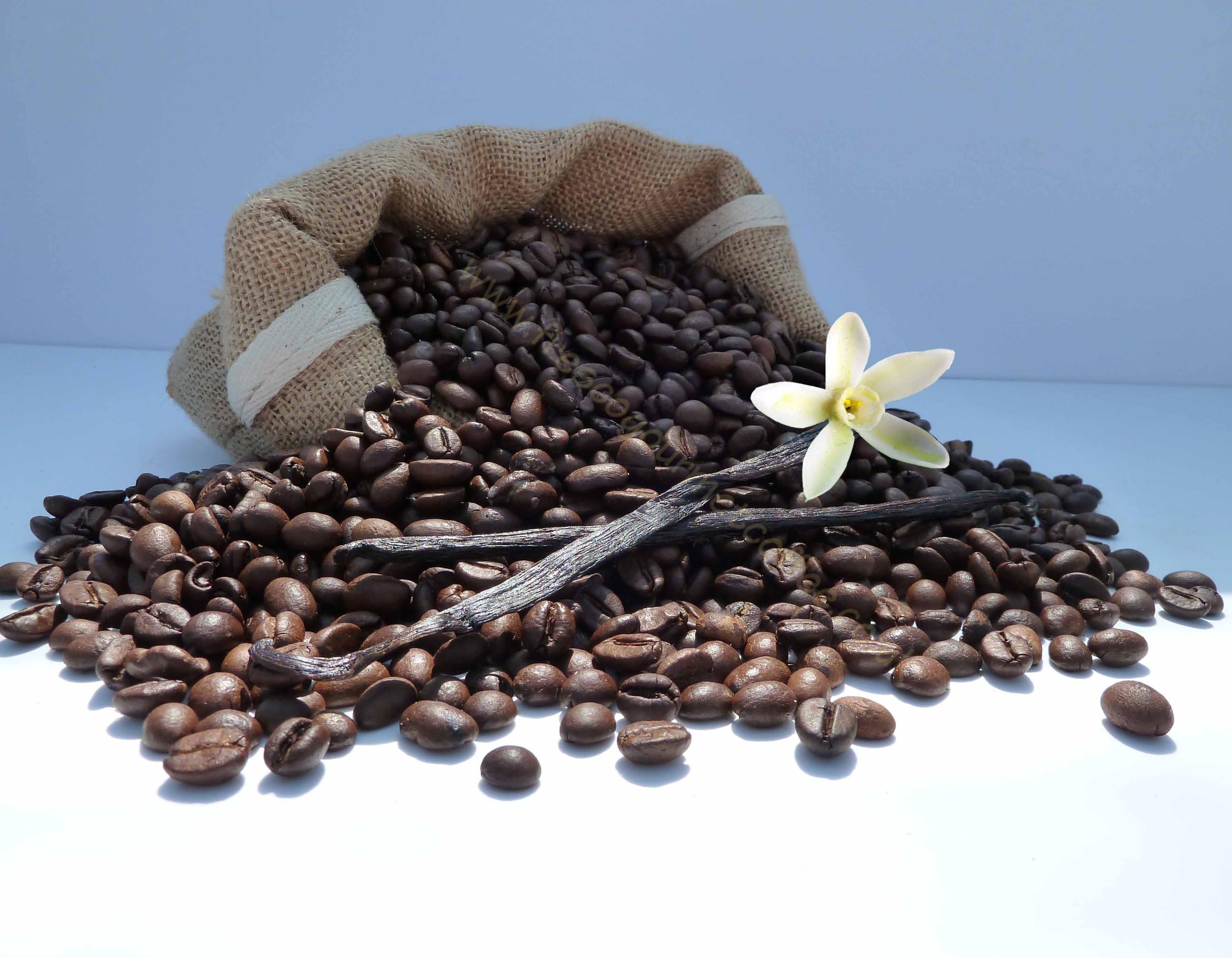 French Vanilla Coffee (500g, Beans)
