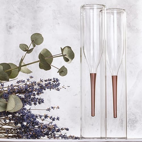 Miniatura 7 de UK SO- IOFLUT - Flauta de champán, grande, transparente