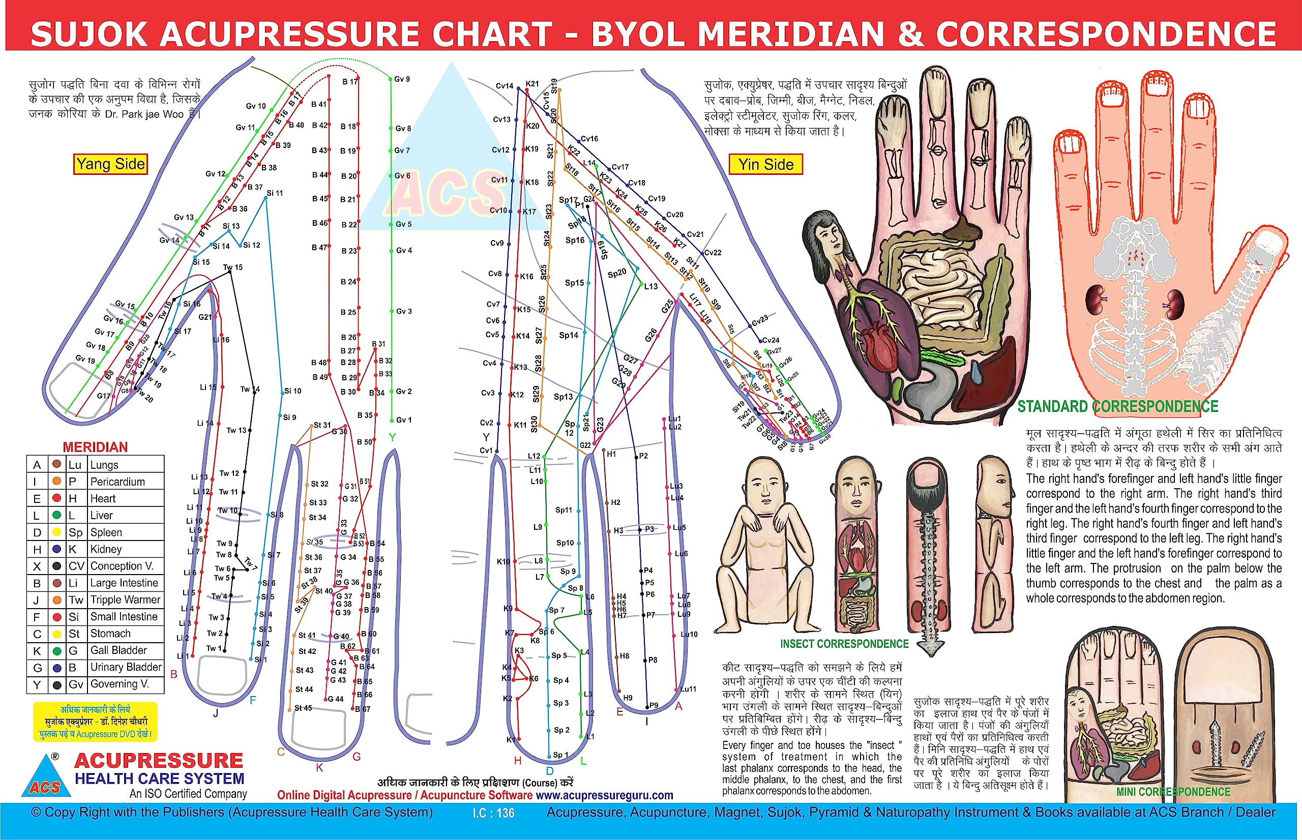ACS MART Sujok Chart - Main Correspondence (Sujok Chart, 10) (B0C8DBYT5C) Amazon Price History, Amazon Price Tracker