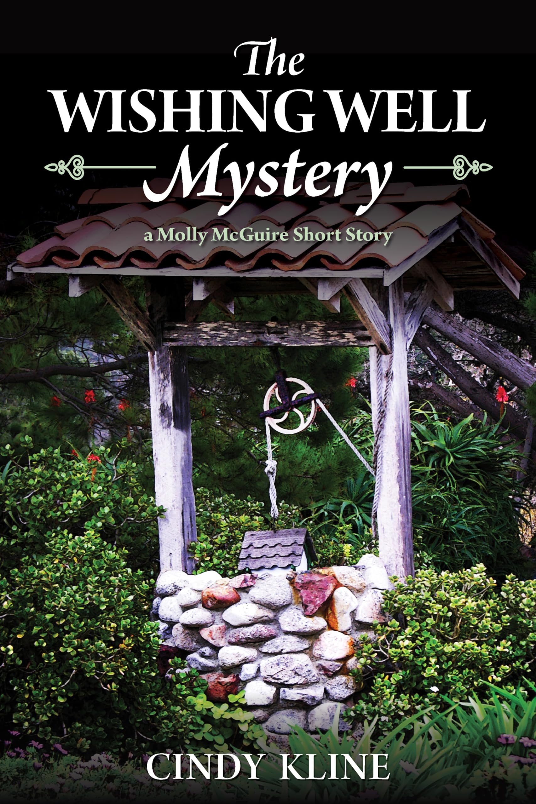 The Wishing Well Mystery (Molly McGuire Mysteries Book 7)