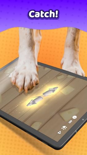 Laser Pointer－Games for Dogs – vue 2
