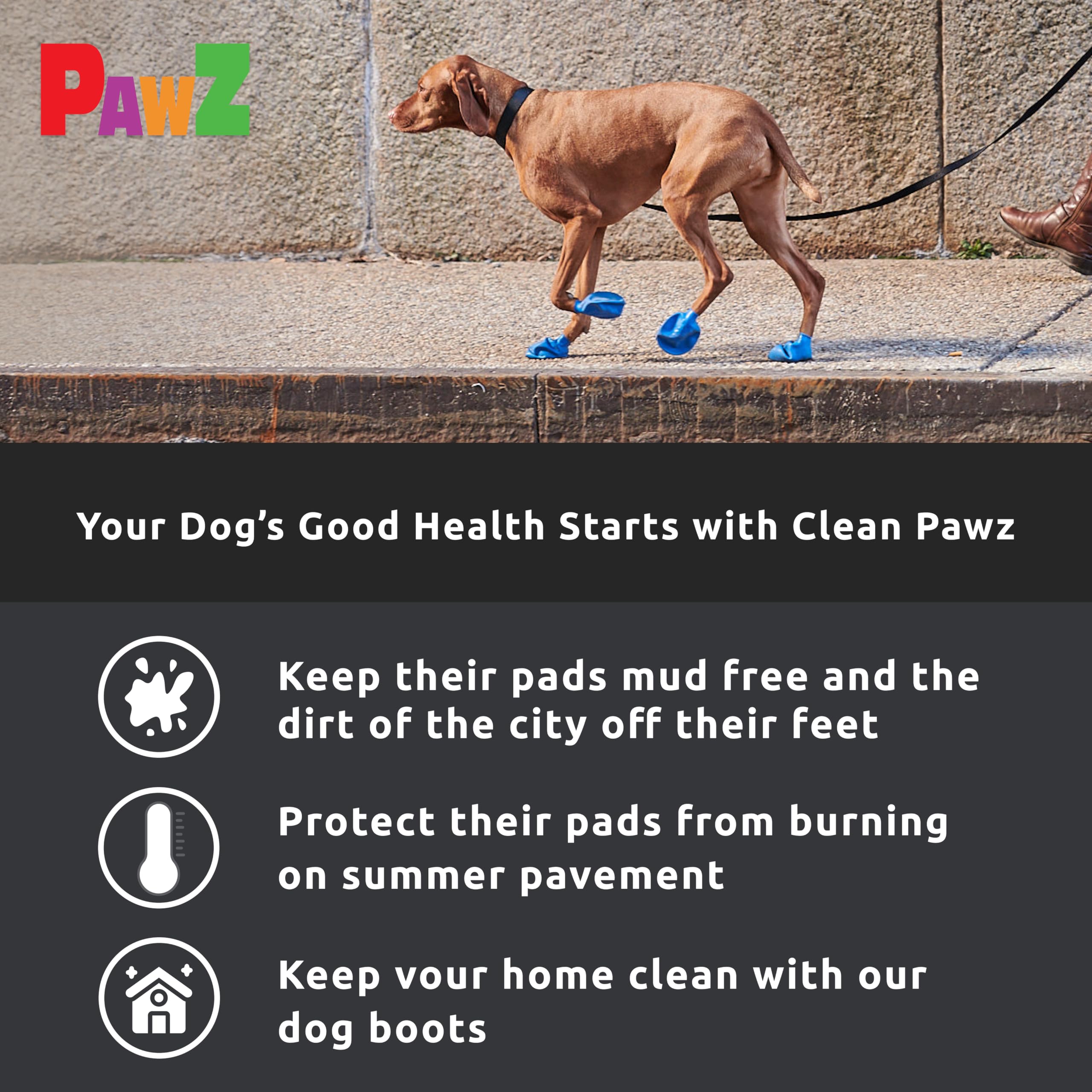 Protex PAWZ ochronne buty dla psów, edycja czarna, XXS