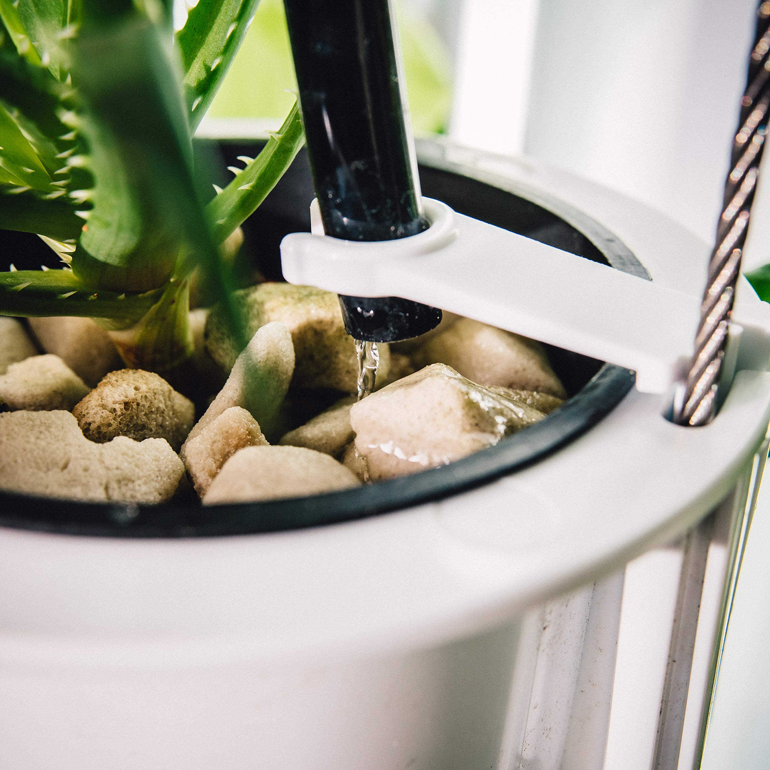 Nutritower Reviews NUTRITOWER. IN HOME, VERTICAL HYDROPONIC GROWING