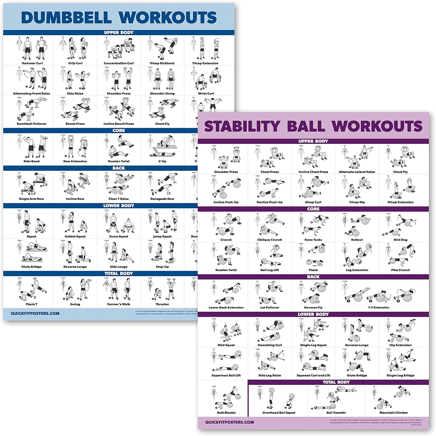 Buy 2 Pack Dumbbell Workouts and Exercise Ball Poster Set Laminated 2