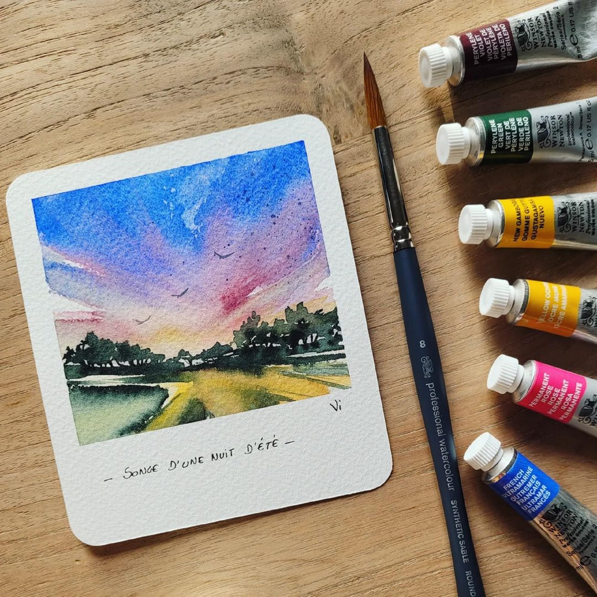 Amazon | Winsor & Newton ウィンザー&ニュートン 水彩絵具