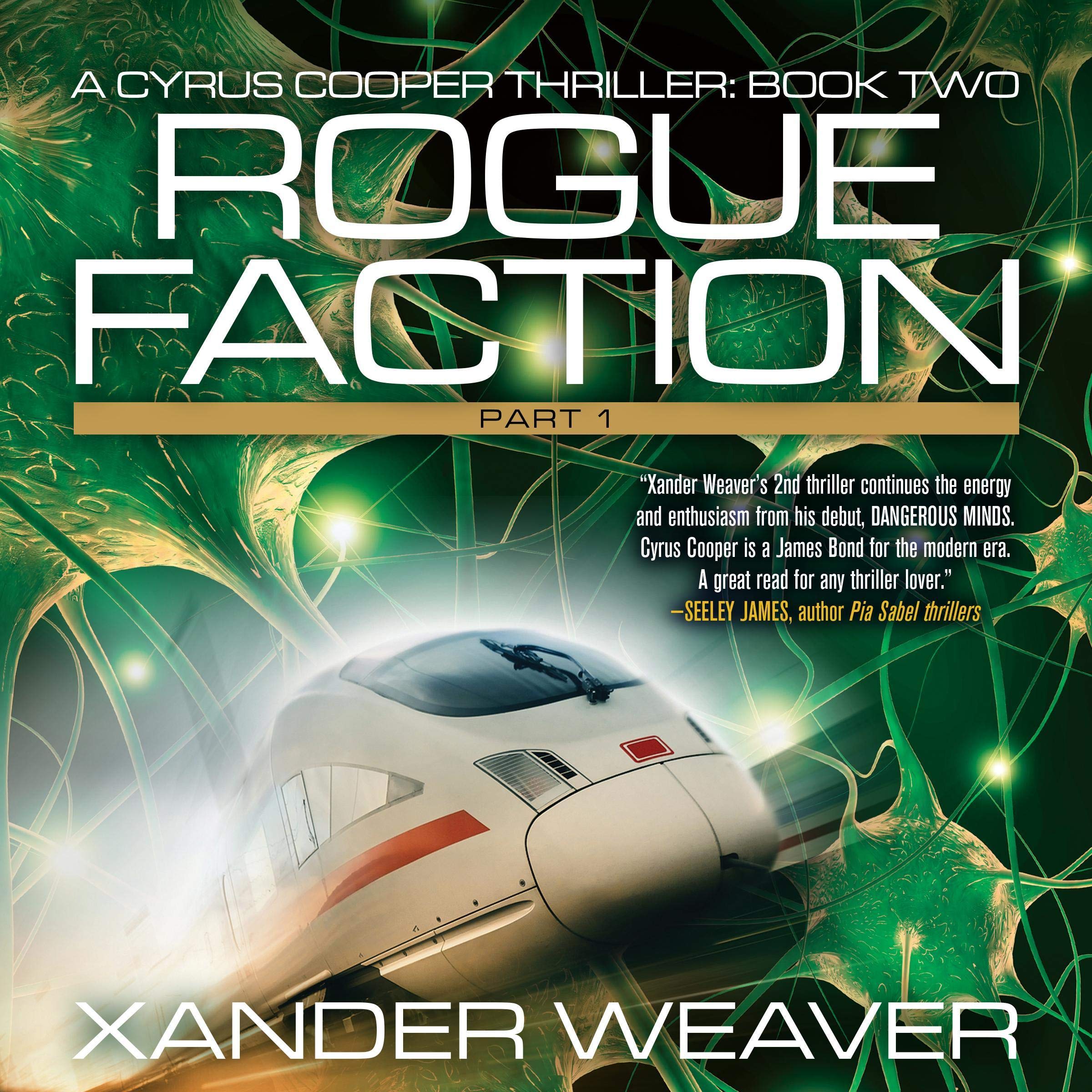 Cover art for Rogue Faction: Part 1
