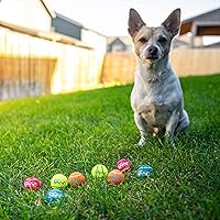 Vista 6 de Outward Hound Squeaker Ballz - Pelotas de tenis chirriantes para perros de menos de 25 libras, juguete interactivo para perros para buscar