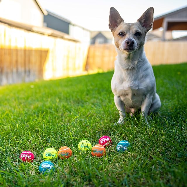 Foto 6 de 8 de Outward Hound AnCoSoo - Pelota de látex chirriante para Perros de Rugby, Pelota Flotante para Juguete…