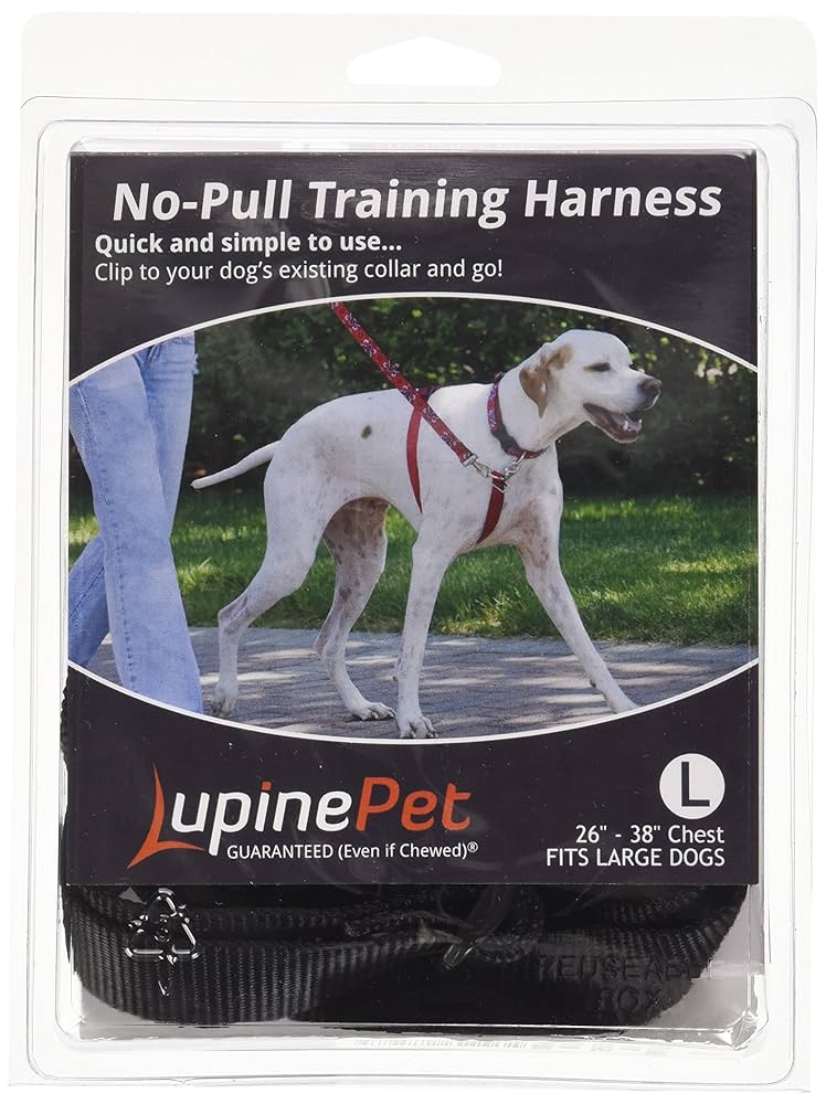 How to Teach Polite Tug Game Rules to Dogs With an Automatic Release: Easy Steps