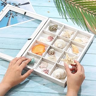 Shell Shadow Box with Shelf 9x11 Deep Wood Shadow Box Frame Glass Door Display Case with 12 Compartments Storage for Collection, Souvenirs, Figures, Wine Bottle Caps, Stamps and More
