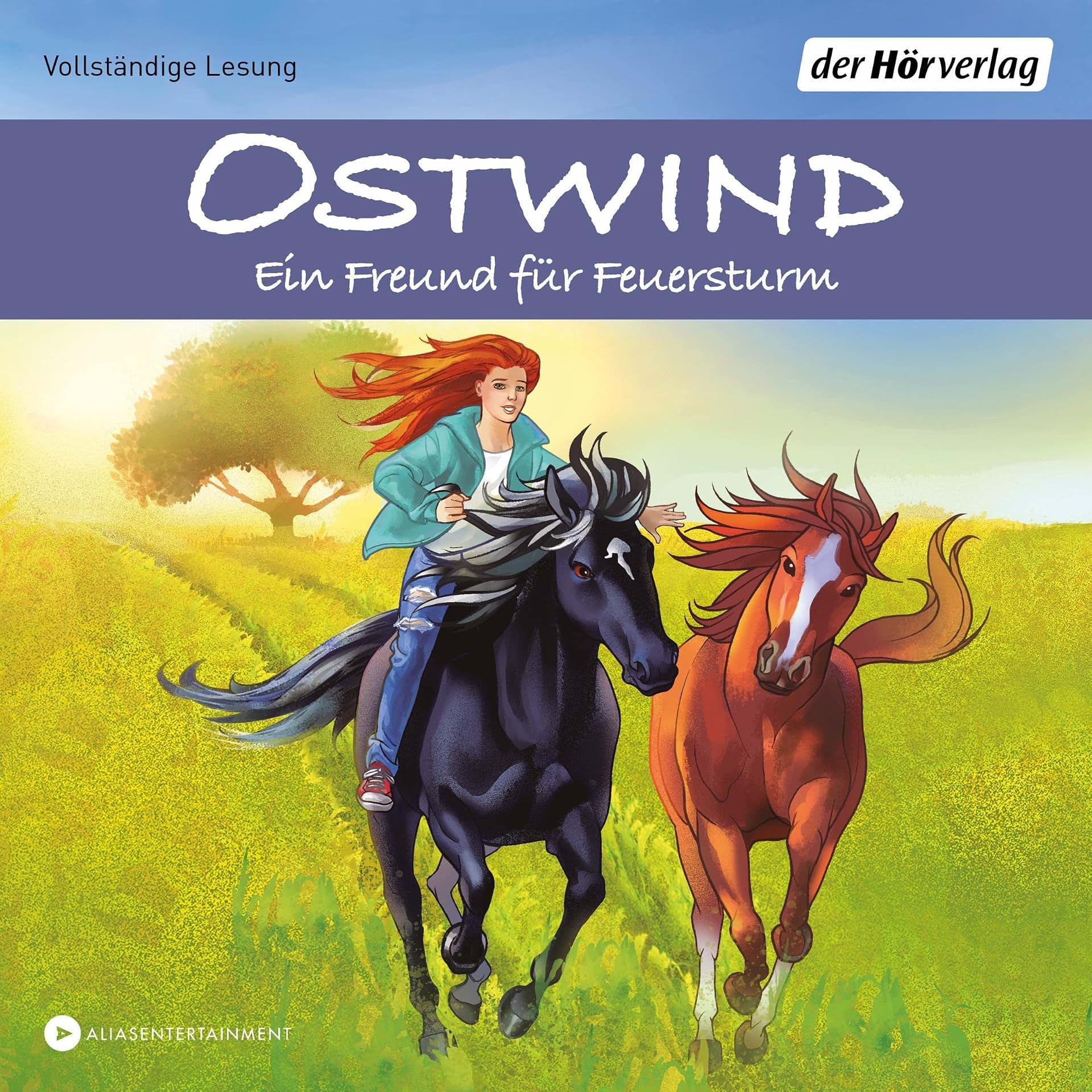 cover-image