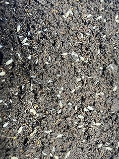 Pocket Pets 30 Dwarf White Isopods and Mixed Springtail Eggs in Living Bioactive Soil Clean Up Crew for Reptile and Amphibian Food Order only if Your 5 Day Forecast Temps are Between 20 and 95