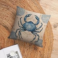 Vista 41 de Funda de cojín de pulpo costero para exteriores, decoración moderna de 18 x 18 pulgadas, decoración náutica costera de playa, casa, vida marina