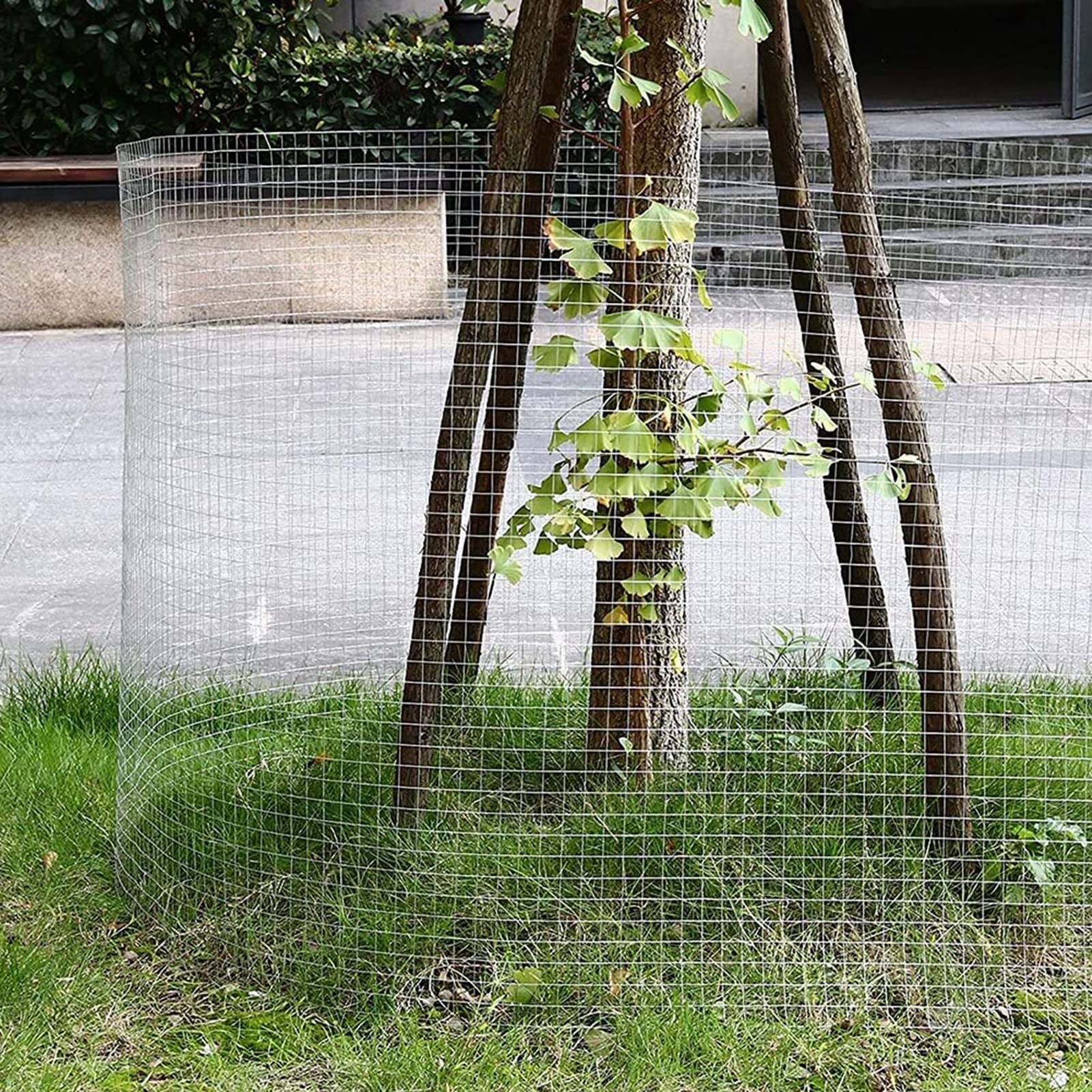 Malla de Alambre soldada de Acero Inoxidable - Rollo de Tela metálica Cuadrada de 1/2" de Alta Resistencia para gallineros, aviarios y cercas - Fácil de Cortar, 1 x 3 m.