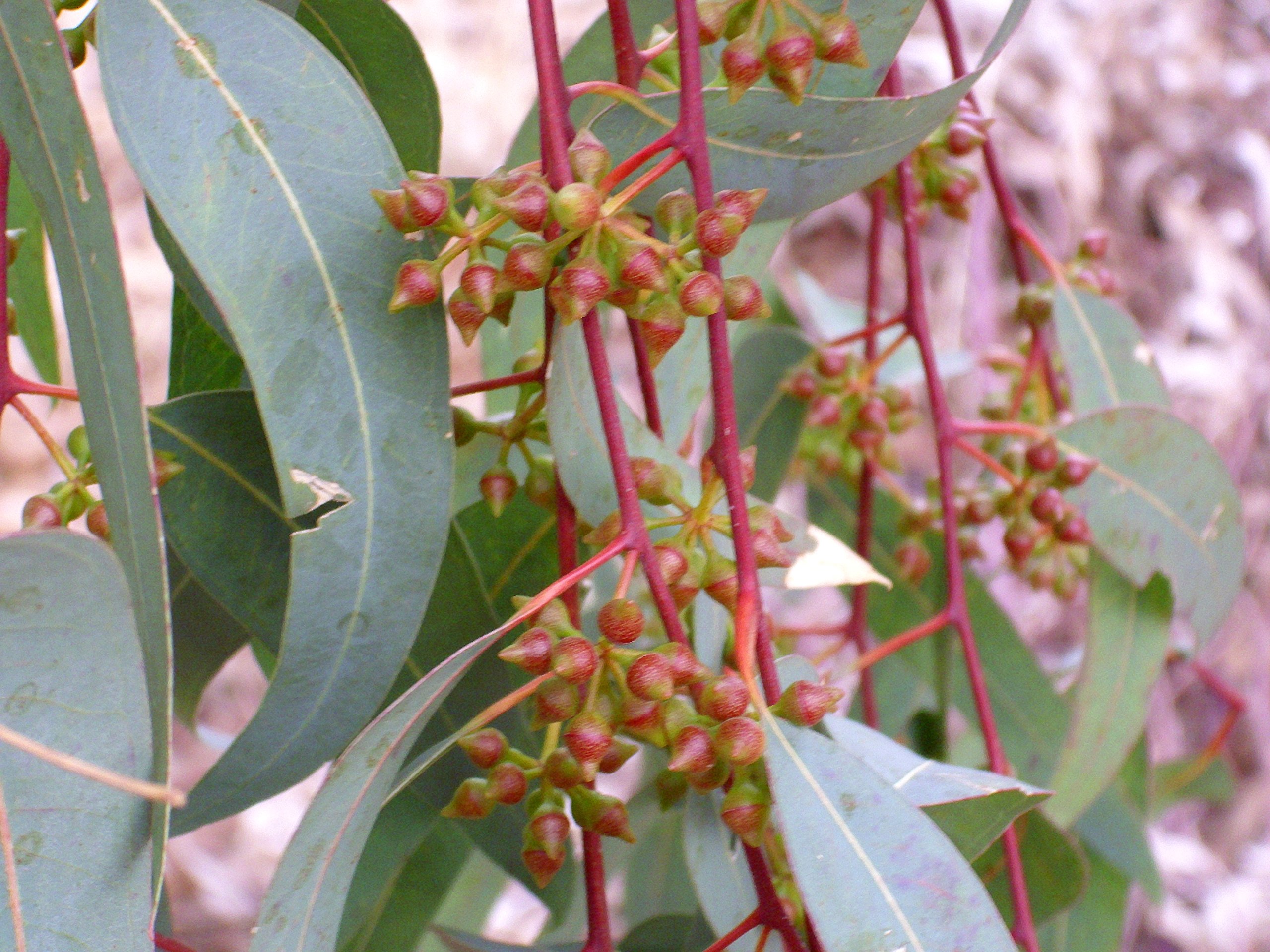 beistelltisch glas eckig Eckige Beistelltische aus Material:Fabric Group 4
