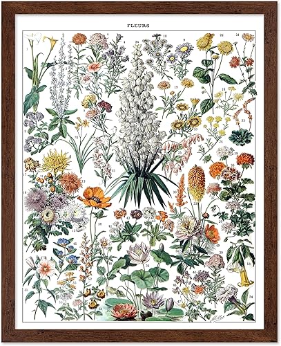Miniatura 150 de Poster Master Póster vintage de orquídea, estampado de flores retro, arte de pared de plantas exóticas, arte botánico, regalo para hombres y