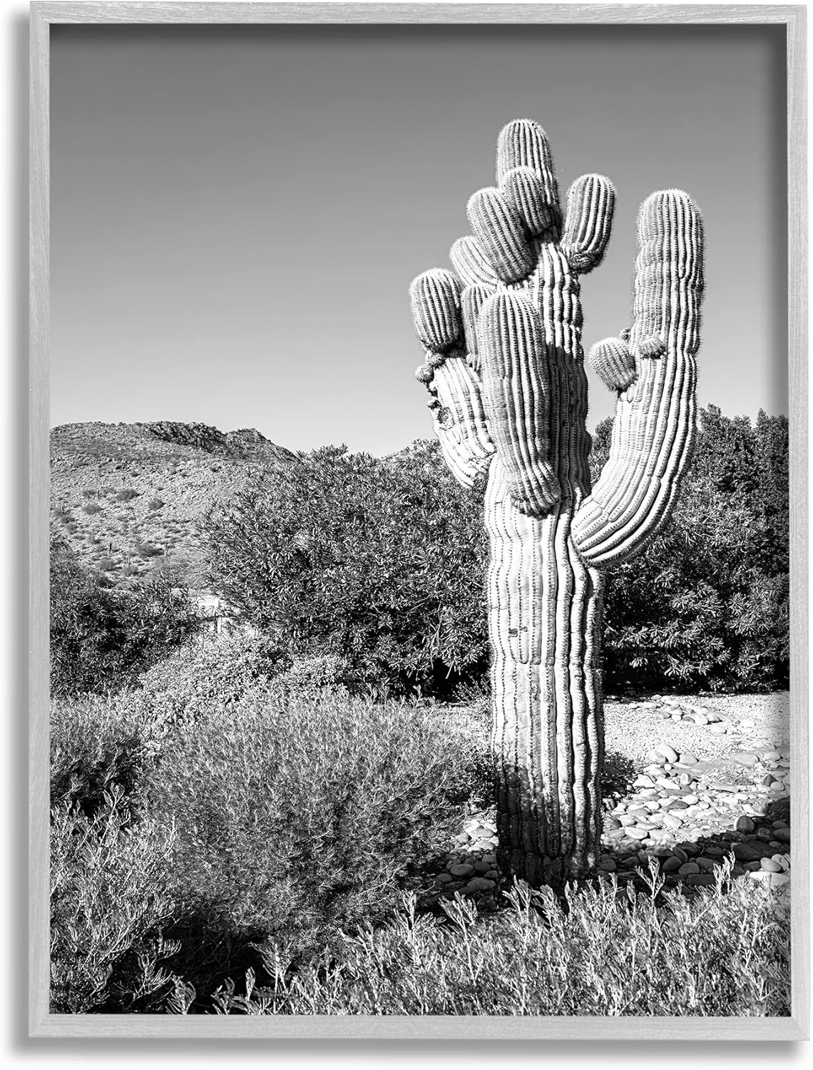 高評価の贈り物 Stupell Industries 厚い 砂漠 サボテン 黒 白 渓谷 風景 ビル カーソンによるデザイン グレーフレームウォールアート 16 X Mda33 Fr