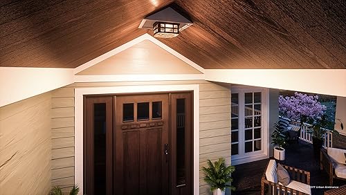 Urban Ambiance Lámpara de techo para exteriores de lujo, tamaño pequeño: 5.75 pulgadas de alto x 12 pulgadas de ancho, con elementos de estilo