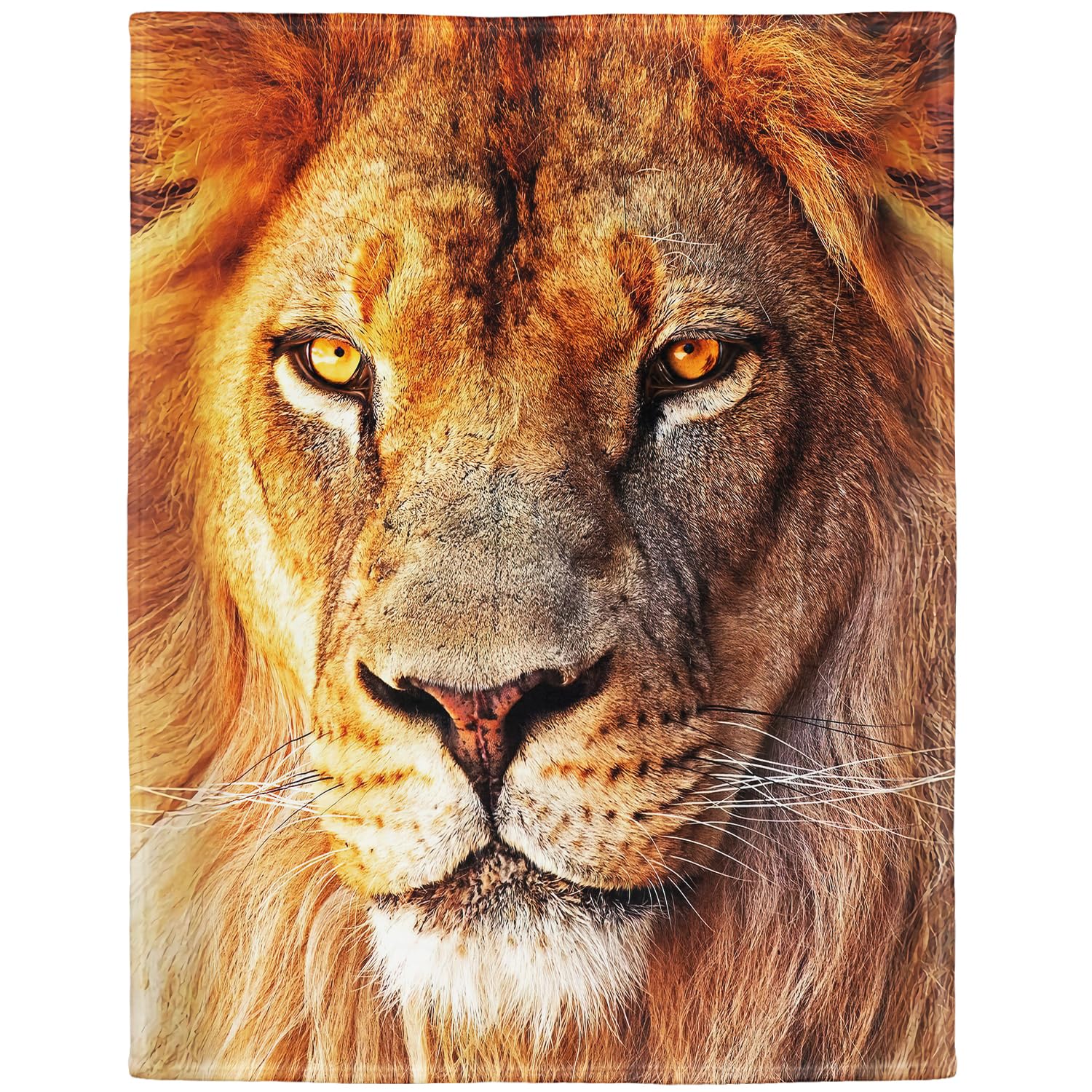 Couverture flanelle lion pour réchauffer vos soirées canapé cocooning