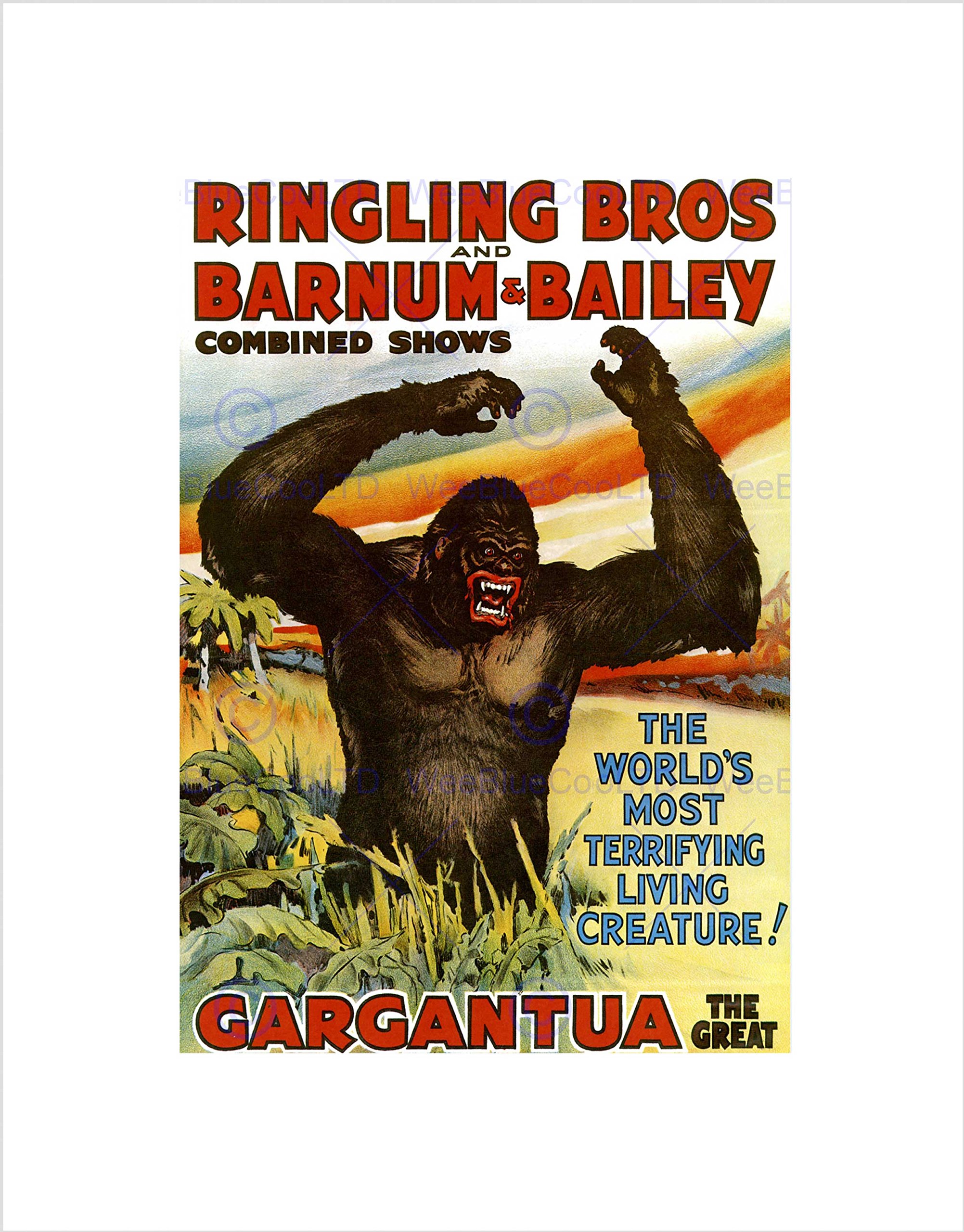 Wee Blue Coo Advert Circus Barnum Bailey Gargantua Gorilla Wall Art Print