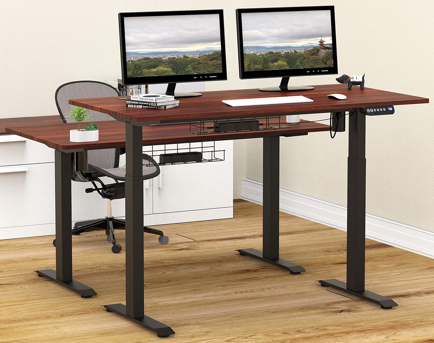 SHW 55-Inch Large Electric Height Adjustable Standing Desk, 55 x 28 Inches, Cherry : Musical Instruments