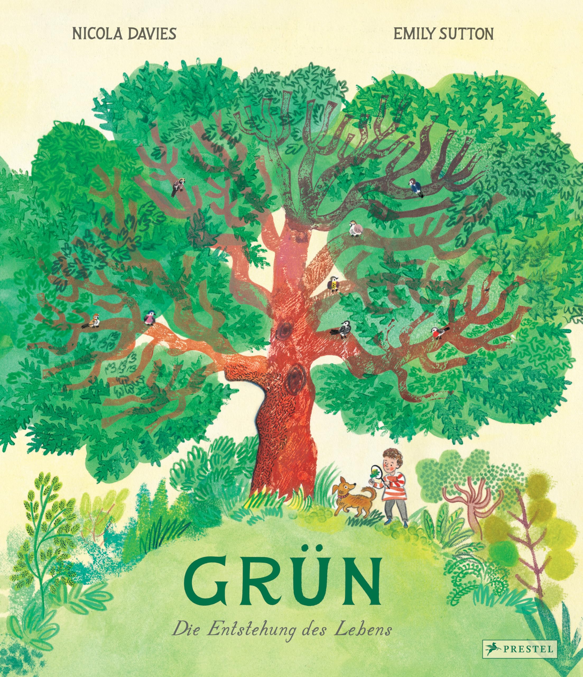 Grün: Die Entstehung des Lebens. Ein Sachbilderbuch für Kinder ab 6 Jahren