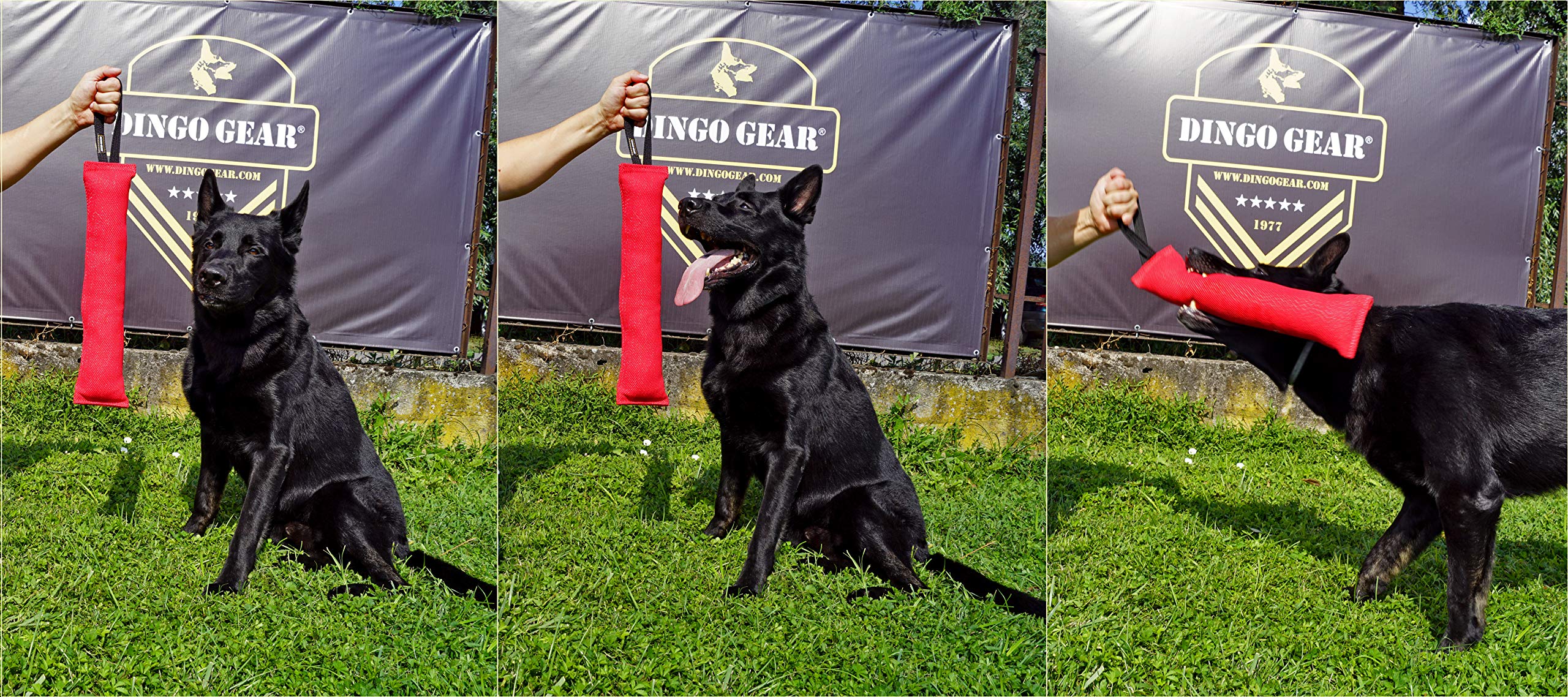 Salsiccia Da Masticare In Pelle Per Cani Dingo Gear - Giocattolo Naturale Per Addestramento - Foto 9