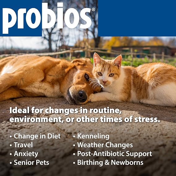 Probios Chewable Tablets for Dogs, Daily Probiotic Supplement for Gut Health, Digestion & Immune Support, Improves Microbiome Balance During Stress, Travel & Routine Changes, Chicken Liver, 45 Count