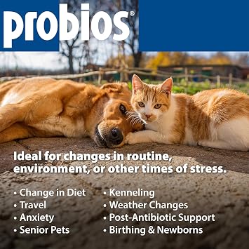 Probios Chewable Tablets for Dogs, Daily Probiotic Supplement for Gut Health, Digestion & Immune Support, Improves Microbiome Balance During Stress, Travel & Routine Changes, Chicken Liver, 45 Count